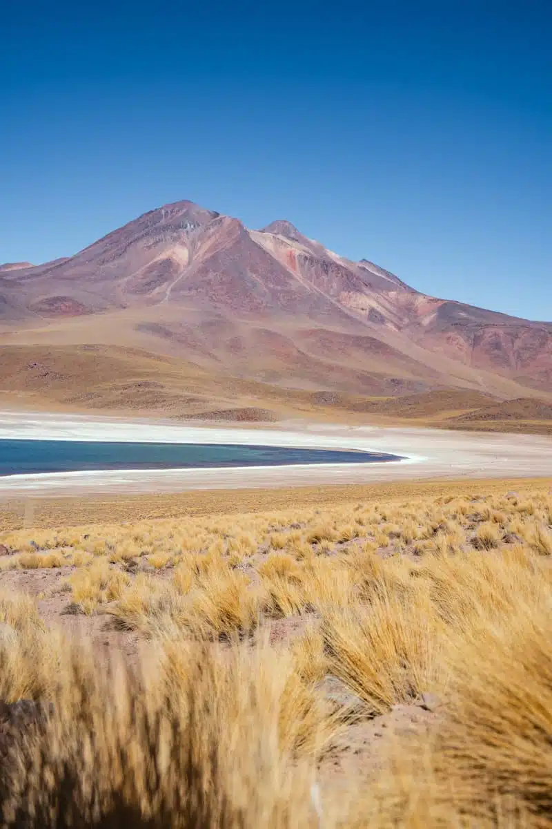 Laguna-Miniques-Atacama-Desert-Chile.jpg