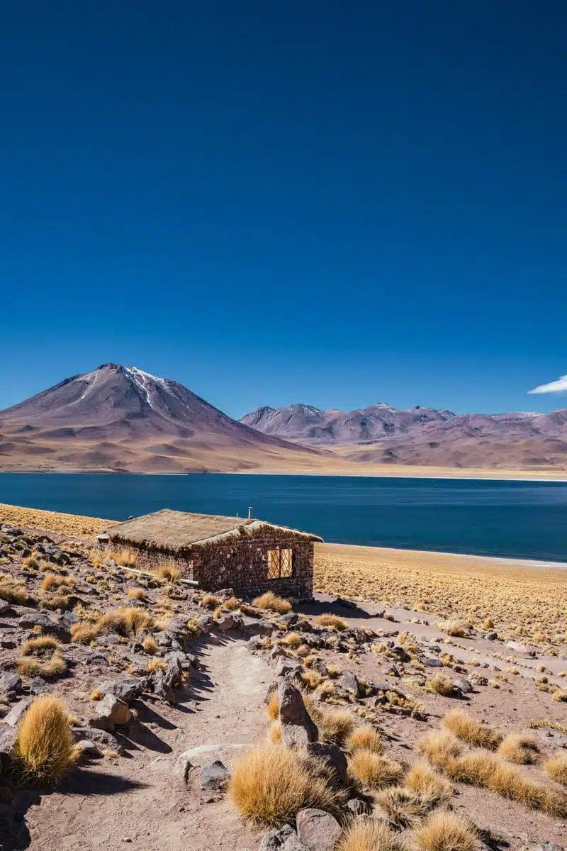 Laguna Miscanti, Atacama Desert, Chile-2