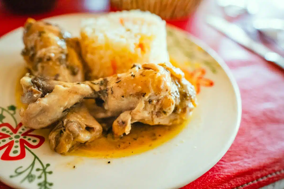 Plate of solar-cooked stewed chicken with rice at Solar Elqui Donde Martita in Villaseca, Chile