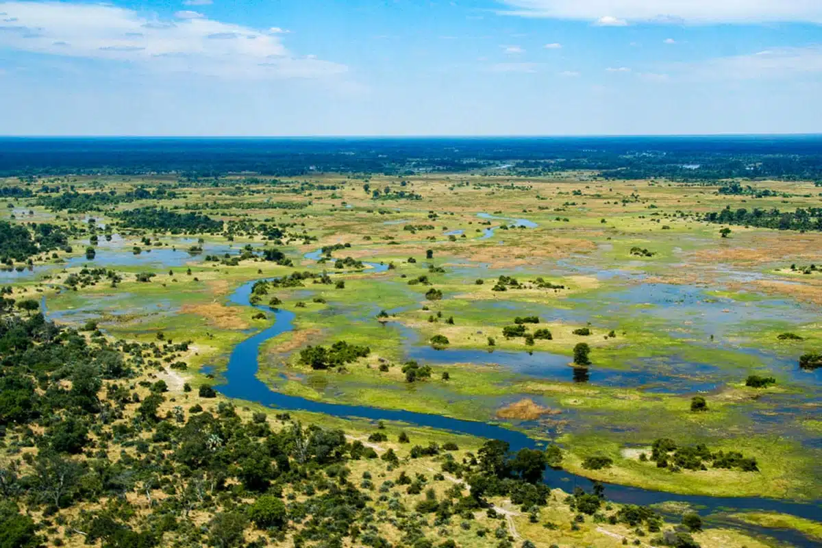 Okavango Delta, Botswana 