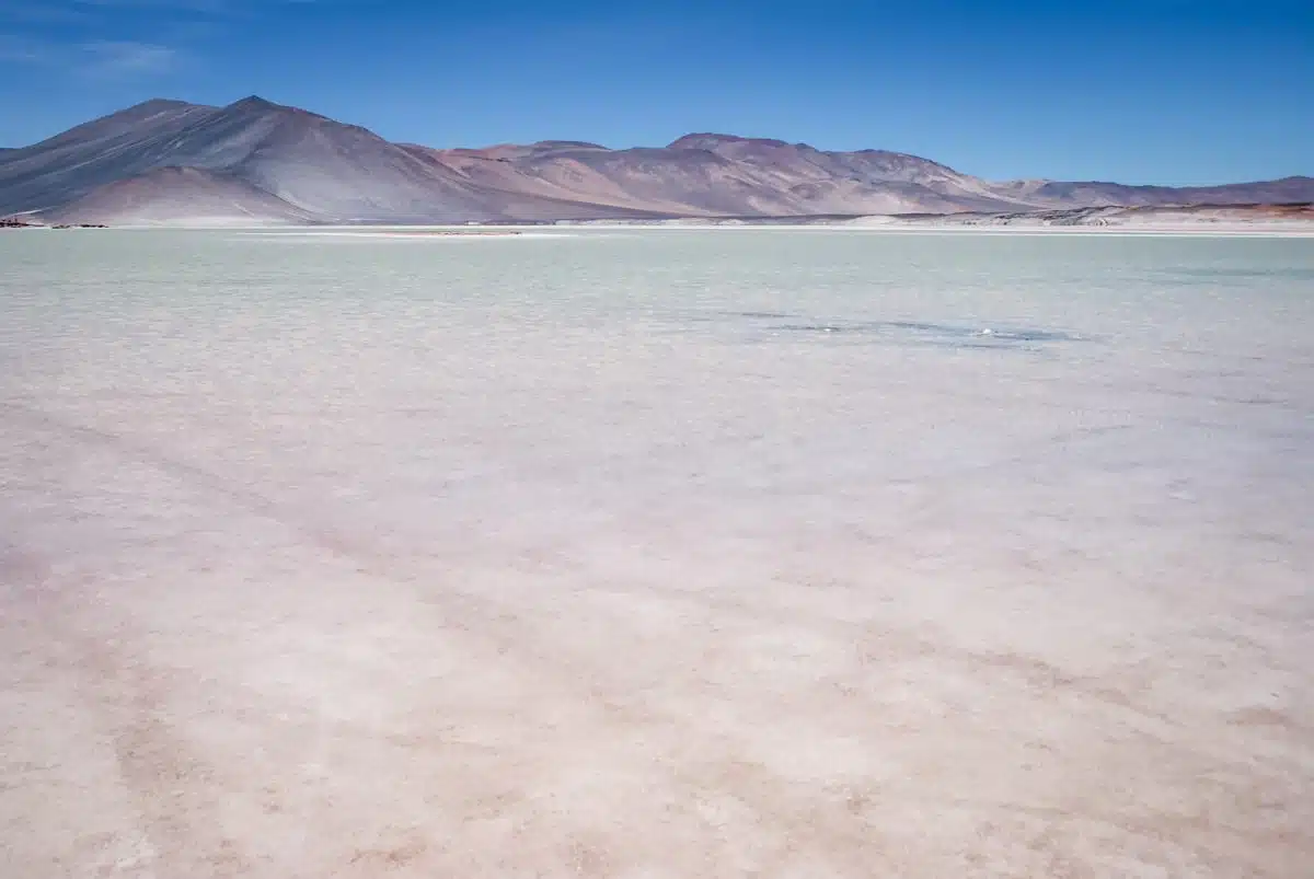 Piedras Rojas & Salar de Talar