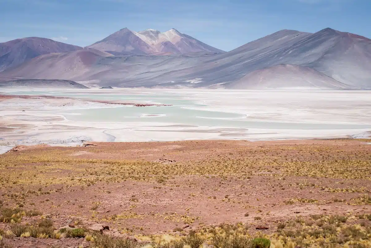 Salar de Talar