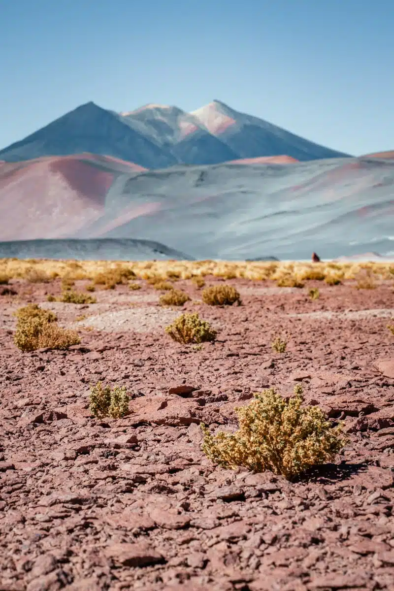 Snow-tipped volcanoes above pastel slopes, with red stony ground and tufts of grass near Piedras Rojas