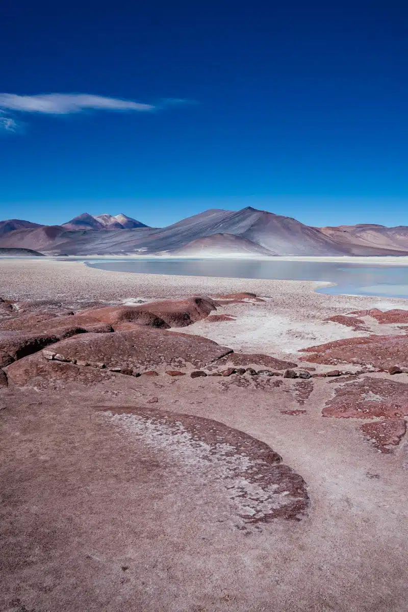 Piedras Rojas and Salar de Talar, Atacama Desert, 