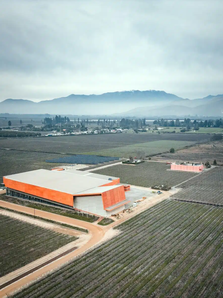 Santa Ema Vineyard Maipo Valley Chile
