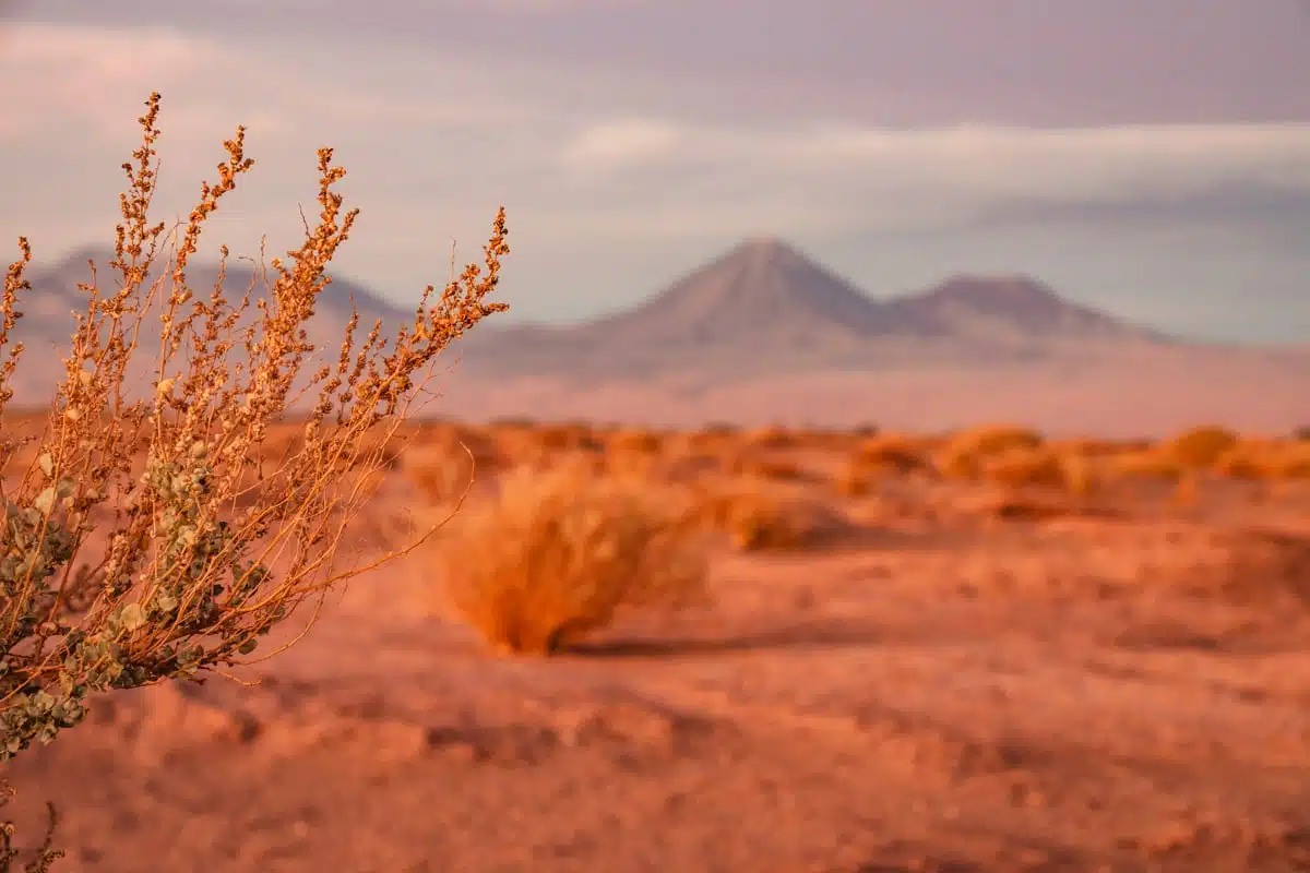 Sunset in the Atacama Basin, Atacama Desert, Chile-7