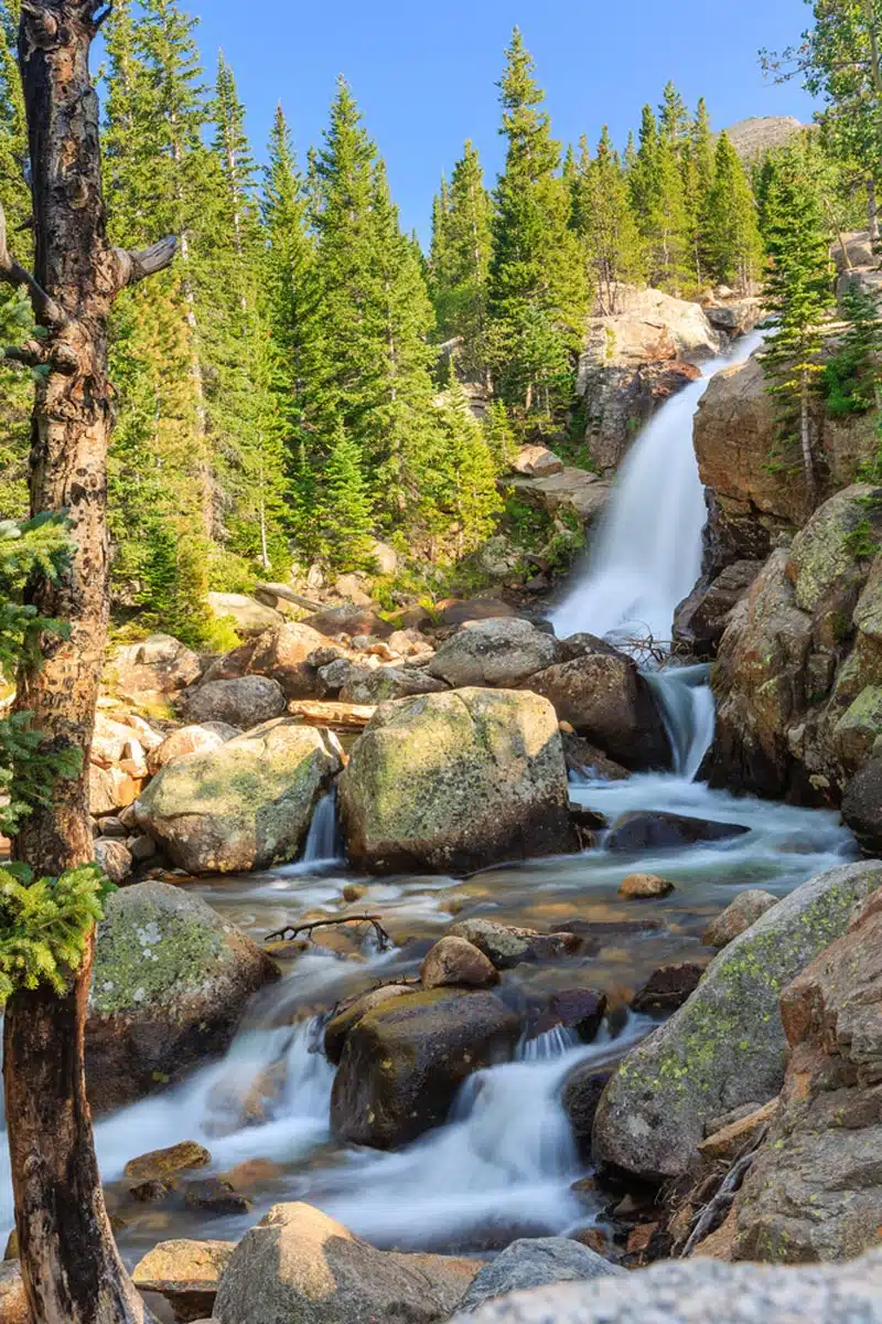 Alberta Falls, Rocky Mountain
