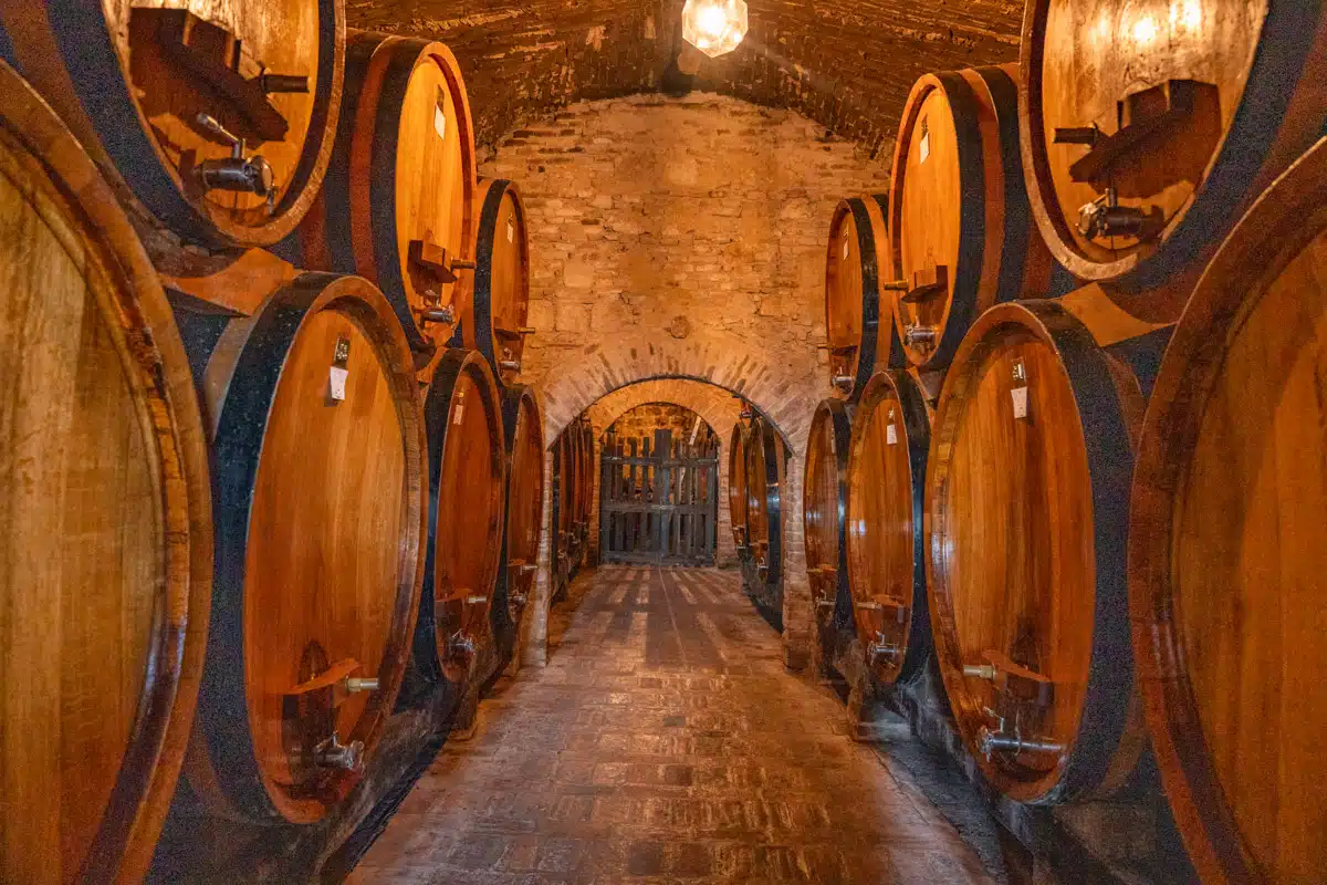 Contucci Winery Montepulciano Tuscany-2