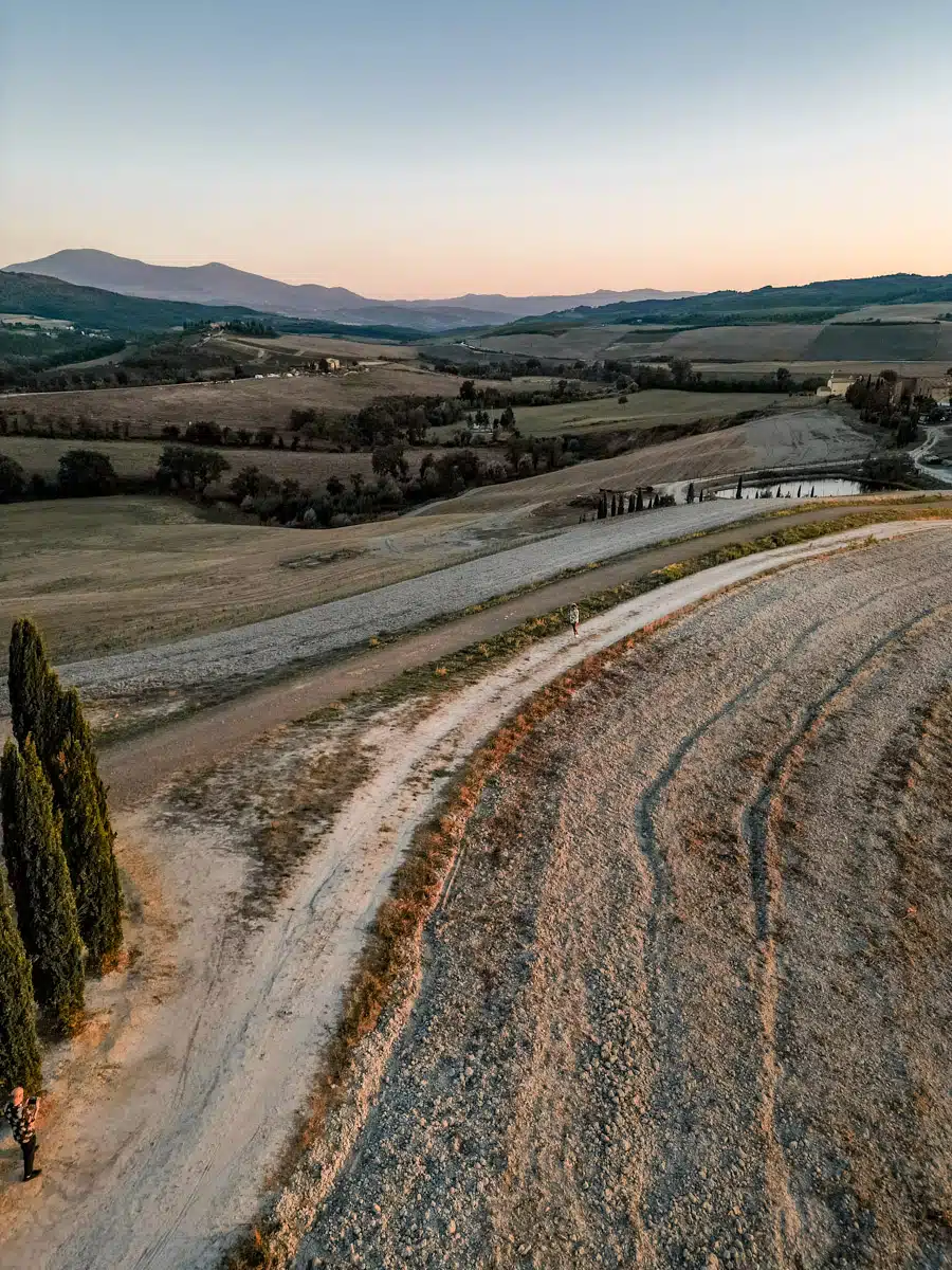 Cypress Trees Val D'Orcia 