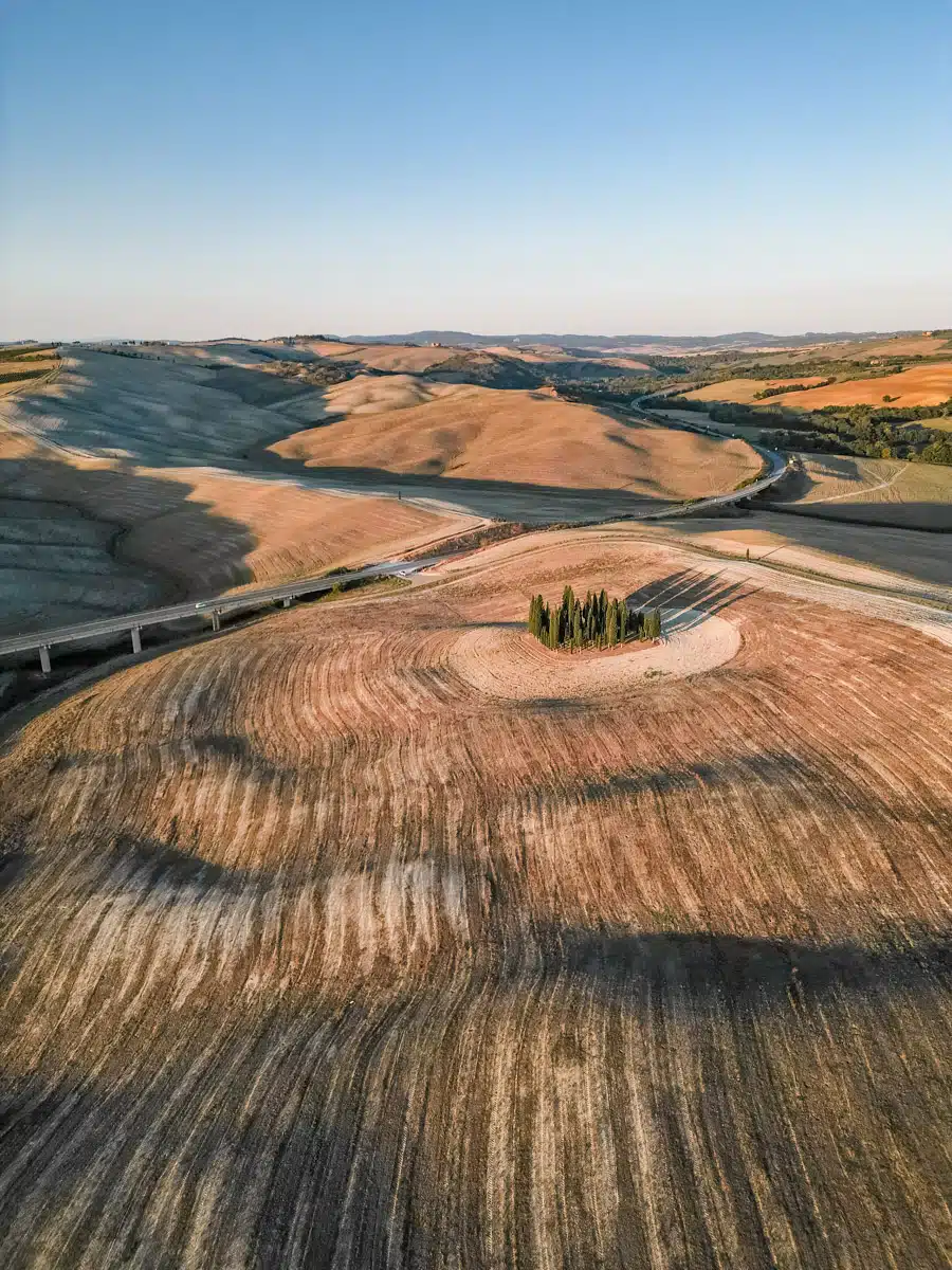 Cypress-Tree-Scenic-Point-San-Quirico-DOrcia-Tuscany-Drone-Aerial.jpg