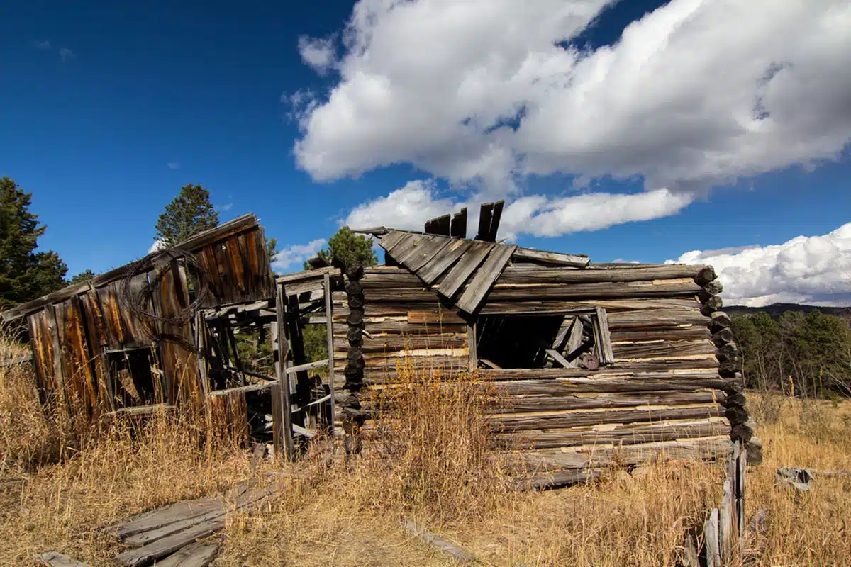 Homestead Meadows, Roosevelt National Forest, Colorado