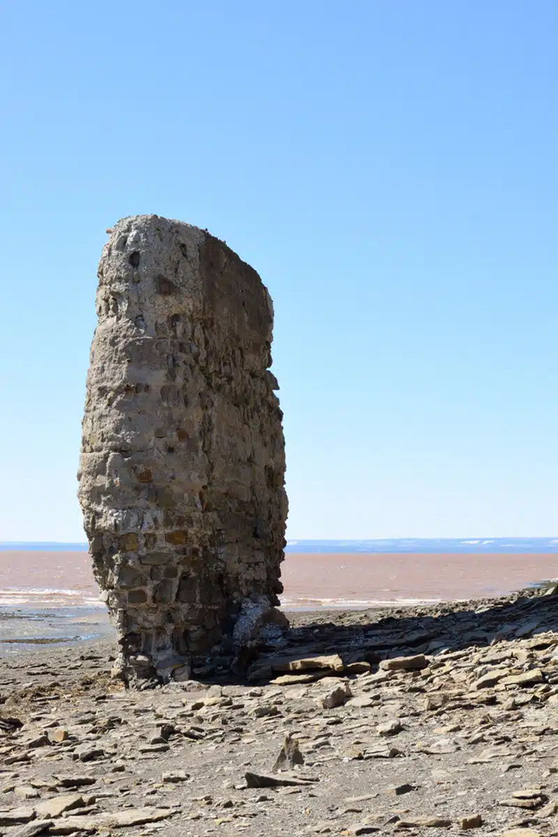 Joggins Fossil Cliffs