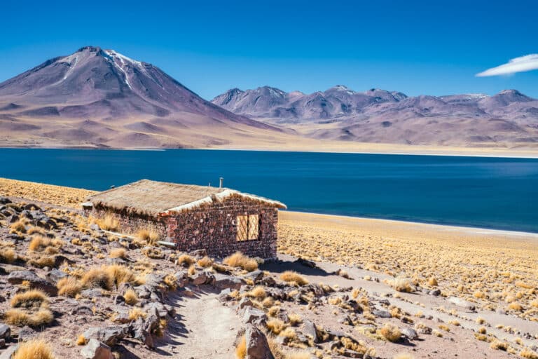 Lagunas Miscanti and Miñiques: Visiting the Atacama’s Striking Altiplanic Lagoons 