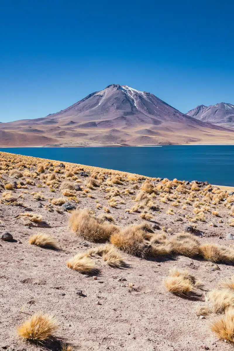 Laguna Miscanti