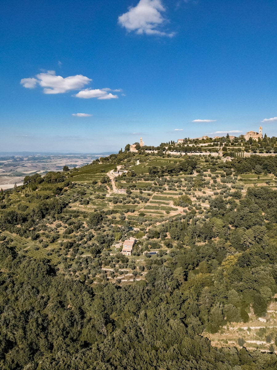 Montalcino-Tuscany-Drone-Aerial-8.jpg
