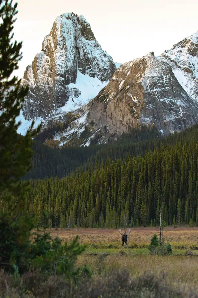 Moose Mountain Provincial Park