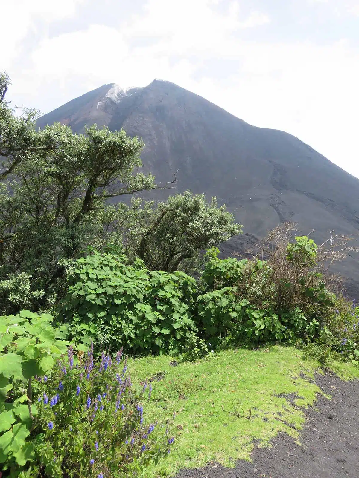 Pacaya Volcano Guatemala