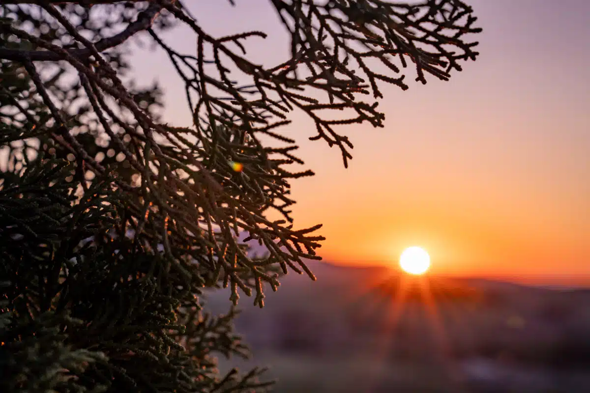 Sunset at the Cypress Scenic Point San Quirico D'Orcia Tuscany-10