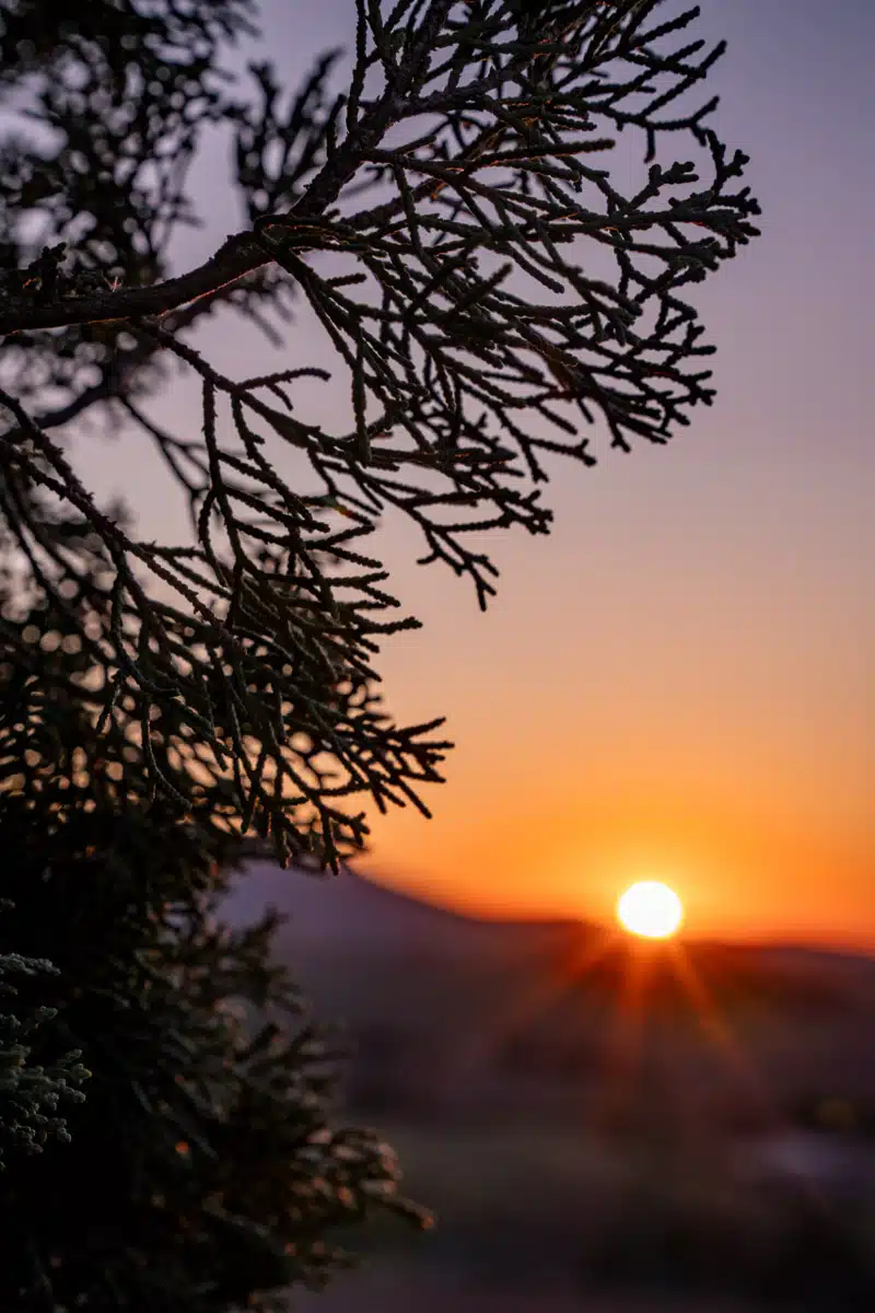 Sunset at the Cypress Scenic Point San Quirico D'Orcia Tuscany-12