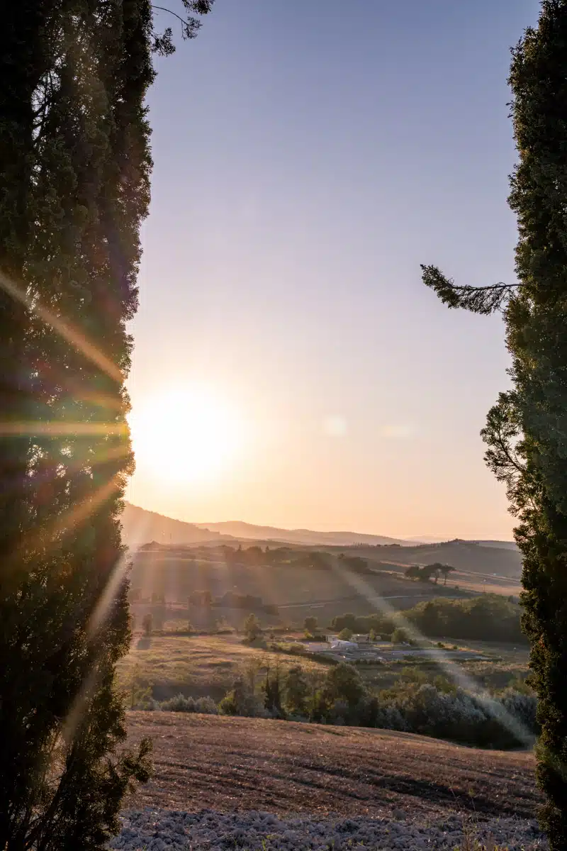 Sunset at the Cypress Scenic Point San Quirico D'Orcia Tuscany-4