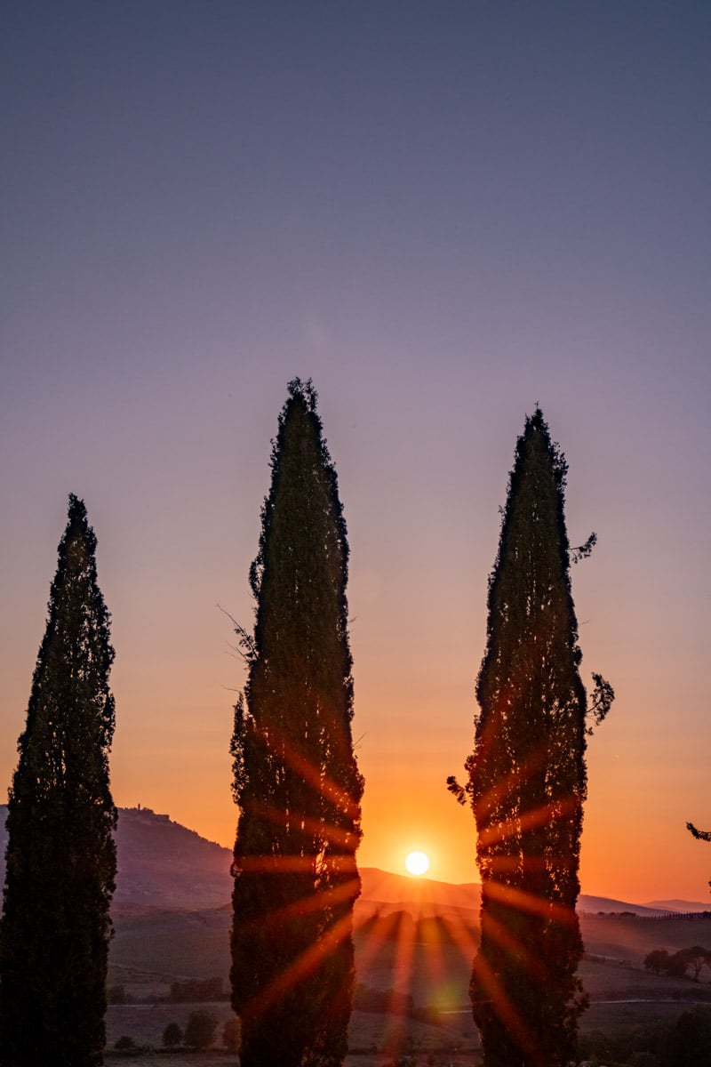 Sunset at the Cypress Scenic Point San Quirico D'Orcia Tuscany-7