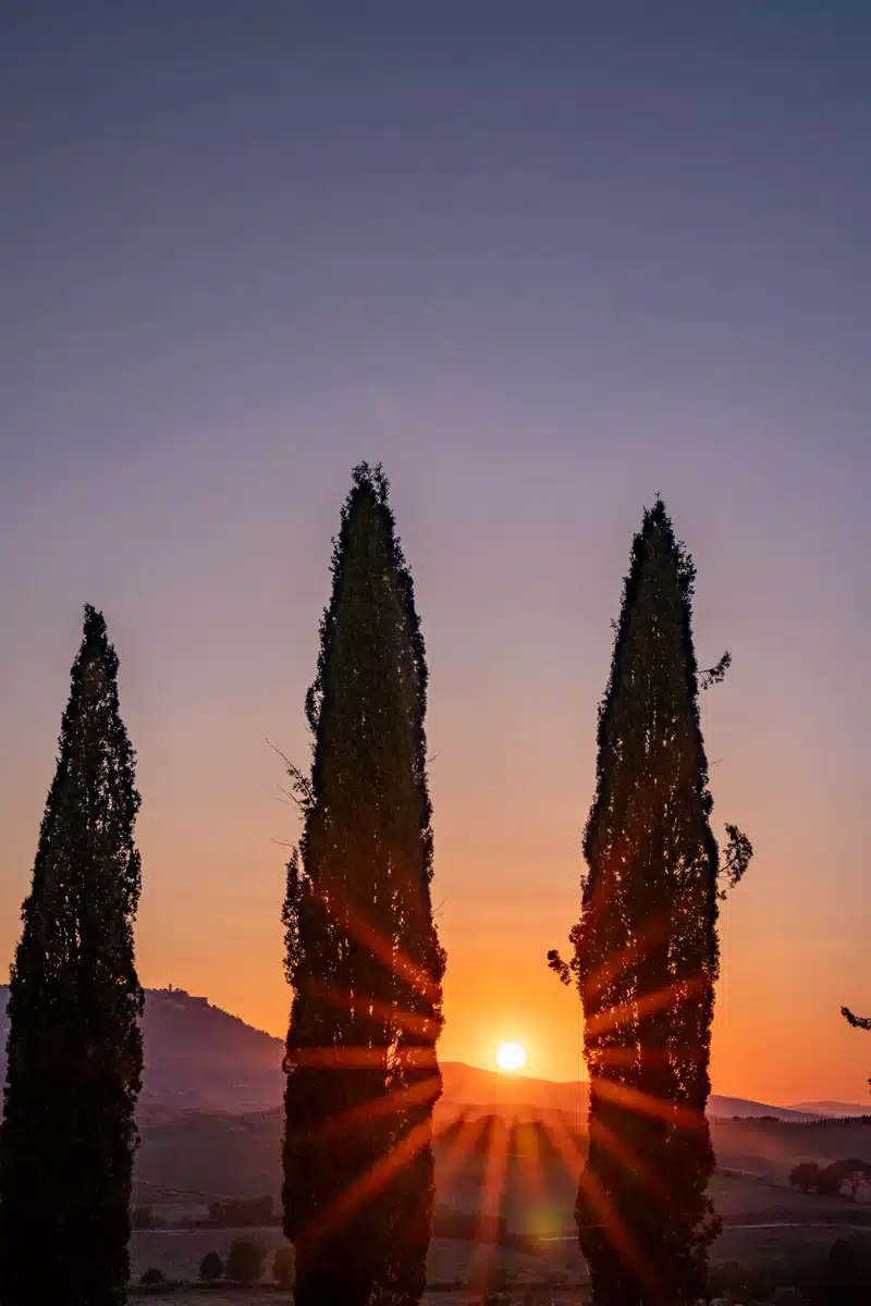 Sunset at the Cypress Scenic Point San Quirico D'Orcia Tuscany-7