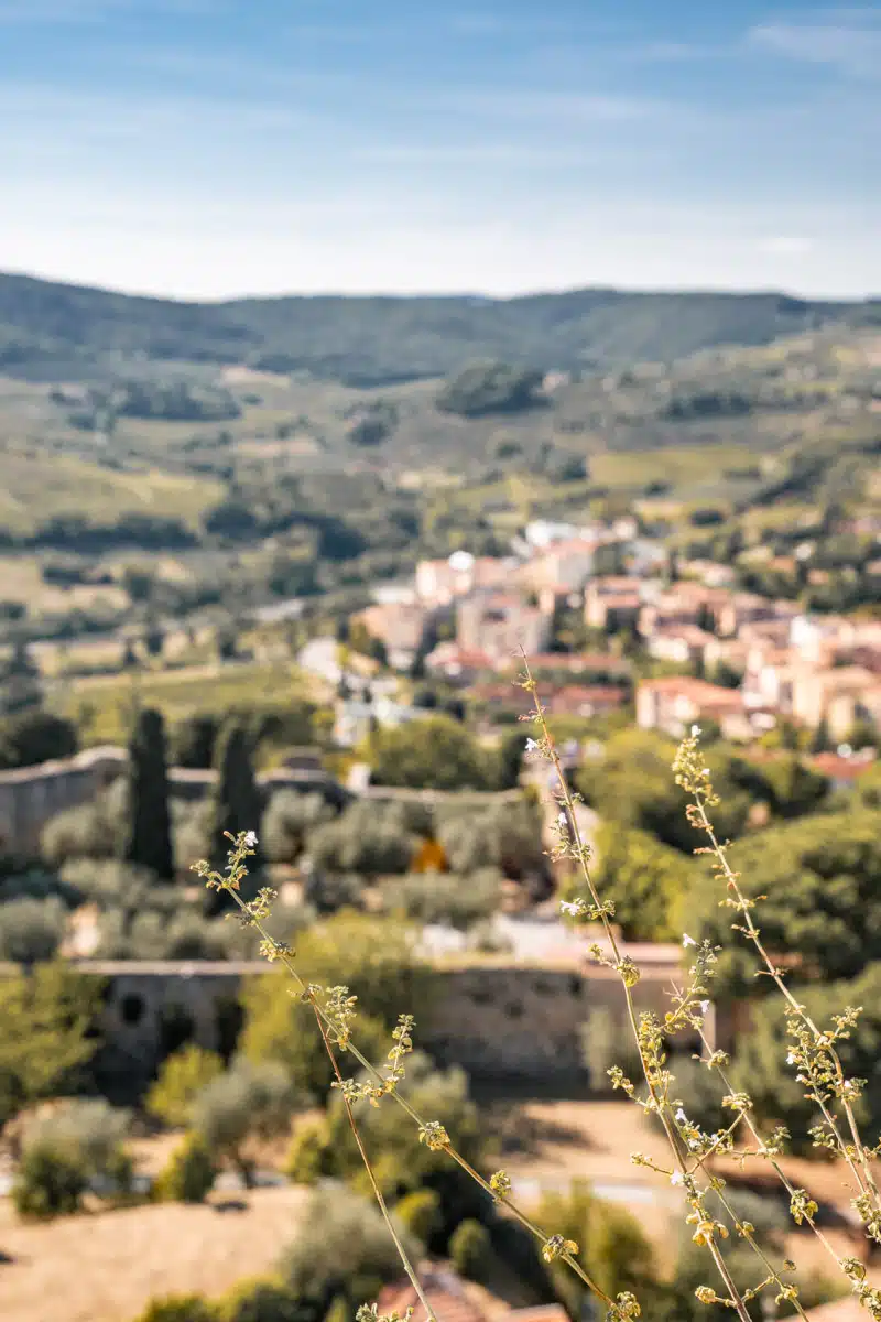 Views from Torre Grossa San Gimignano, Tuscany-3