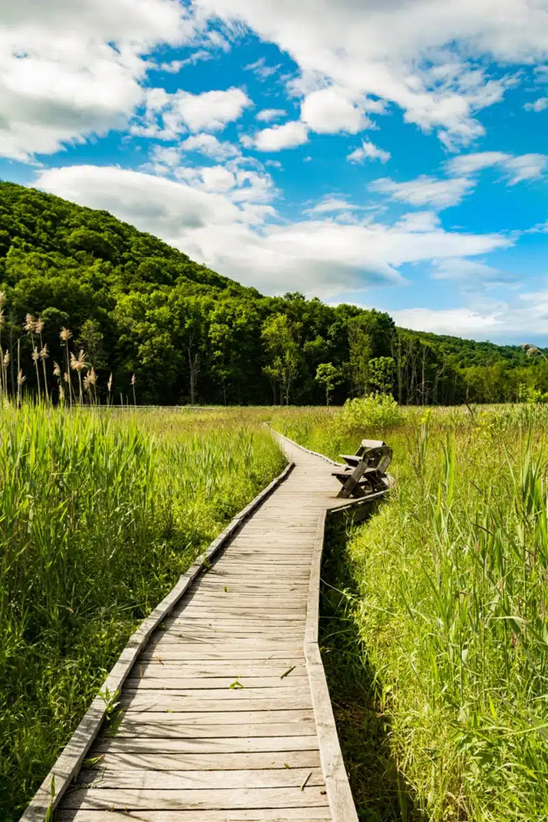 Appalachian Trail, Georgia to Maine 