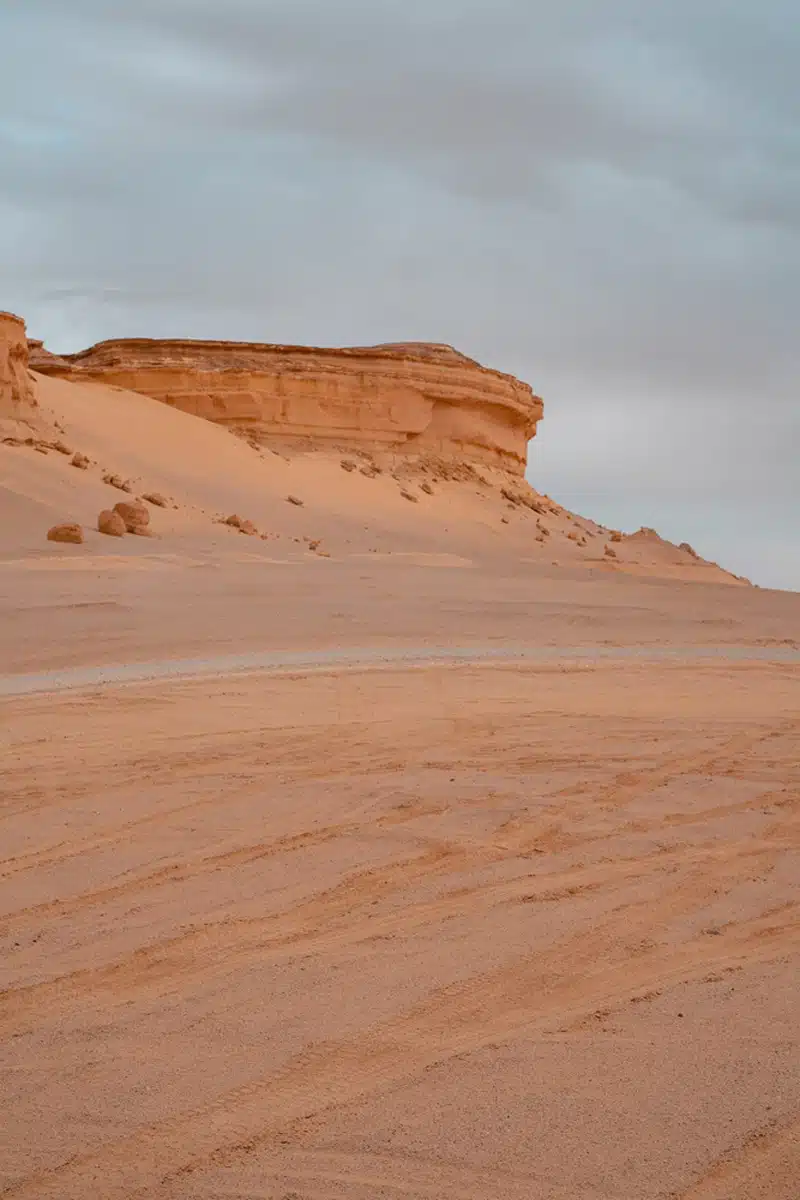 Fayoum Oasis