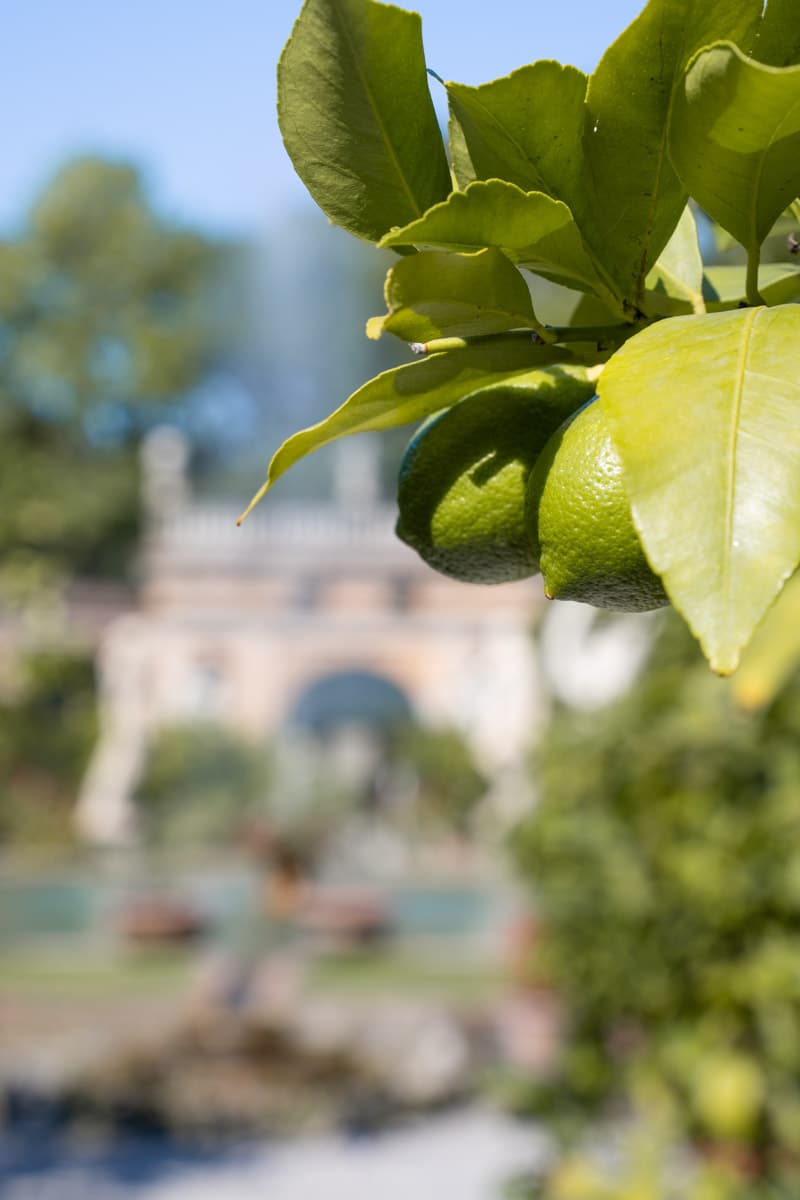 Gardens Palazzo Pfanner Lucca Tuscany-5