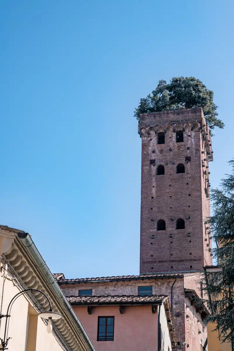 Guinigi Tower Lucca Tuscany