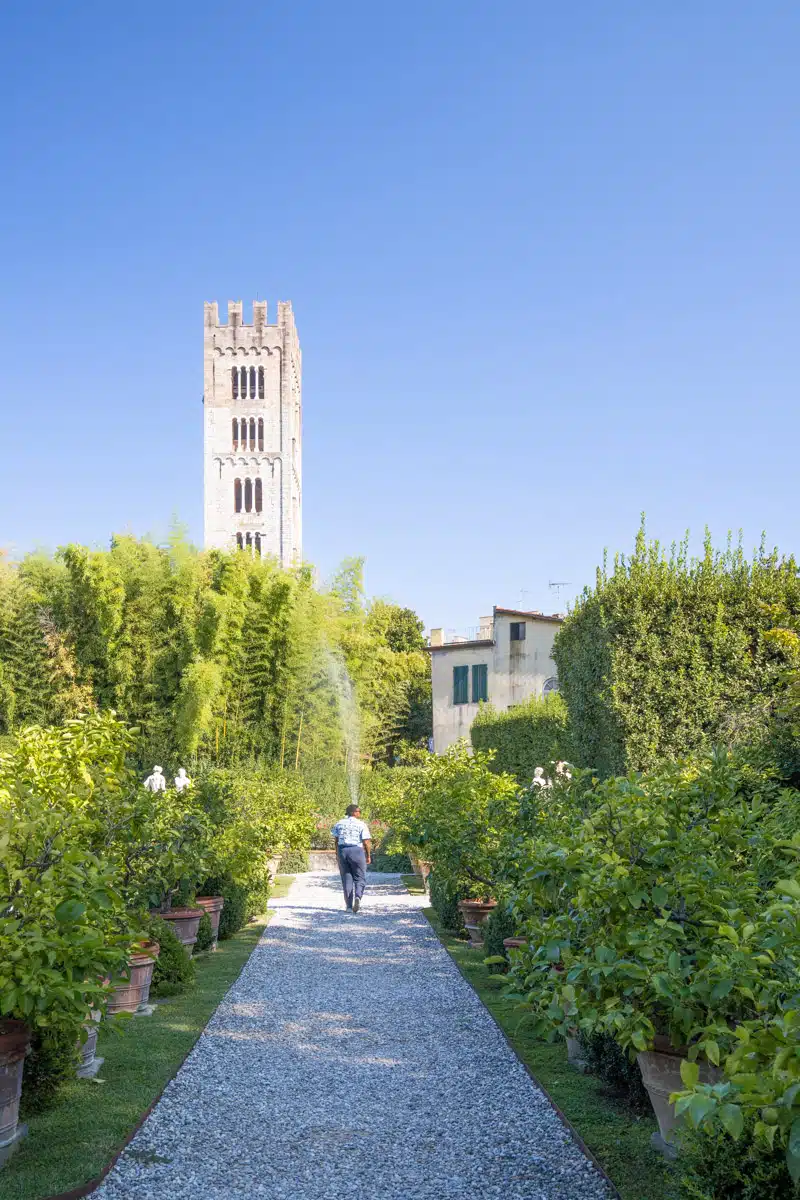 Julianna Barnaby Gardens Palazzo Pfanner Lucca Tuscany