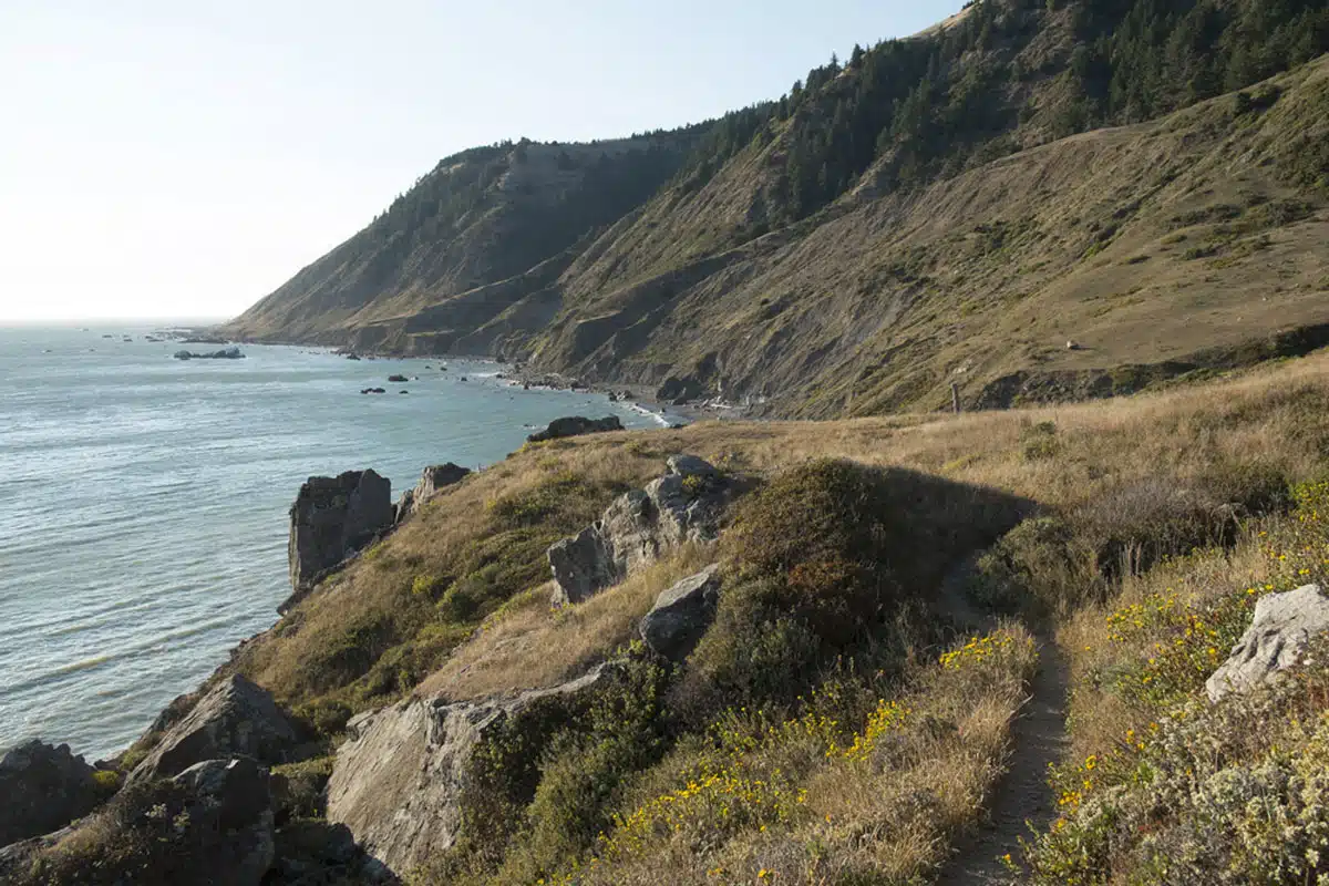 Lost Coast Trail, Humboldt Coastline 