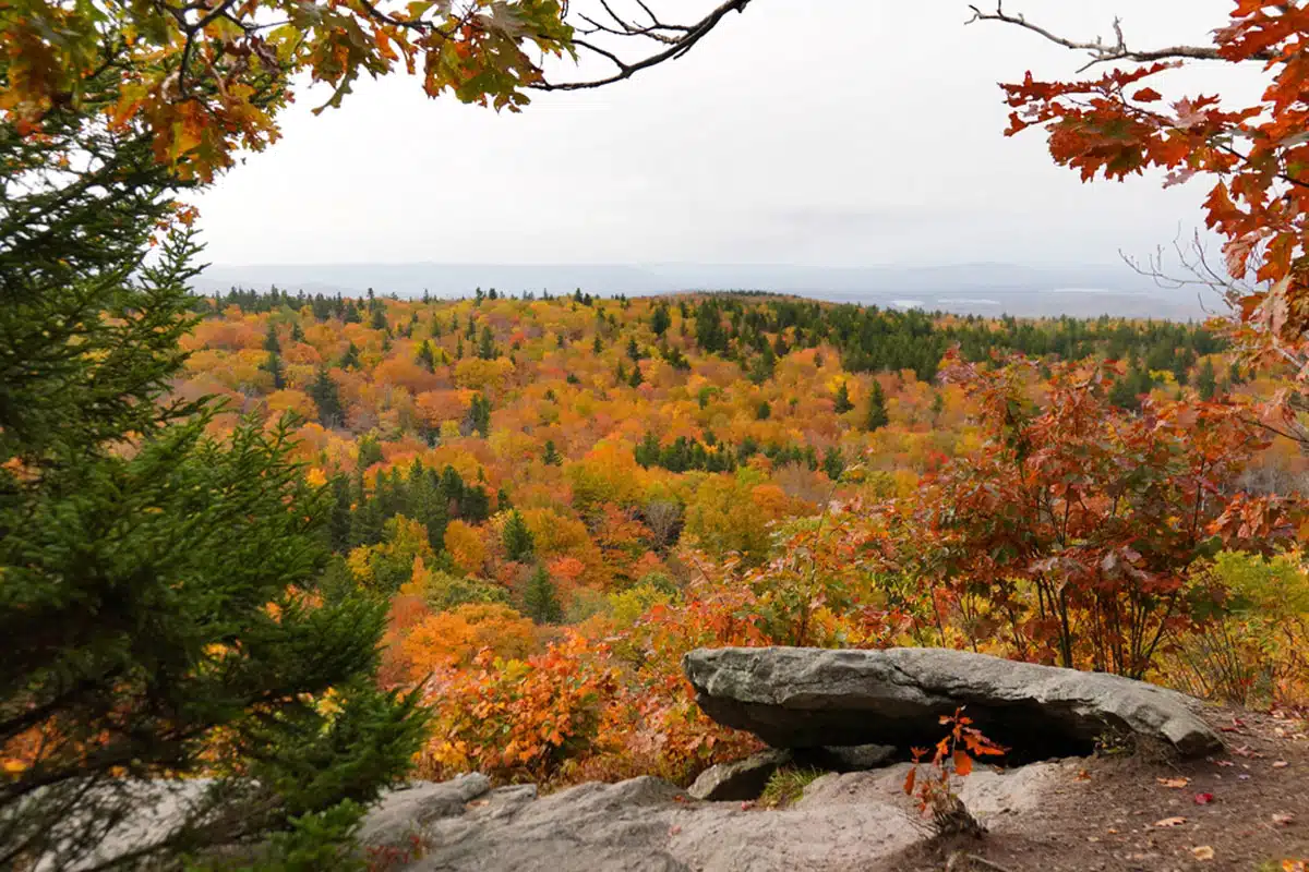 Mount Greylock Via Bellows Pipe Trail, Mount Greylock State Reservation 