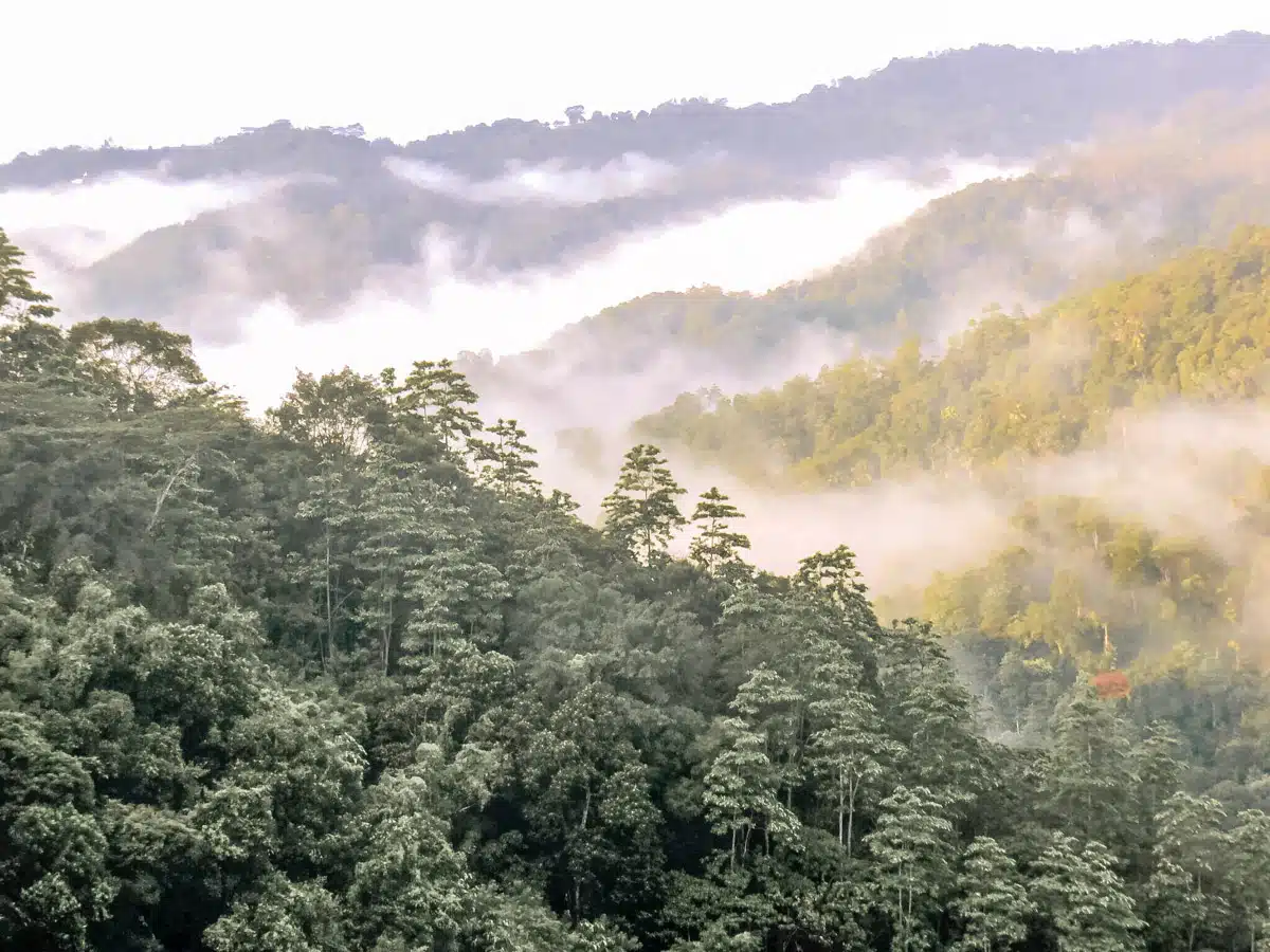 Santani Sri Lanka Near Kandy_-6