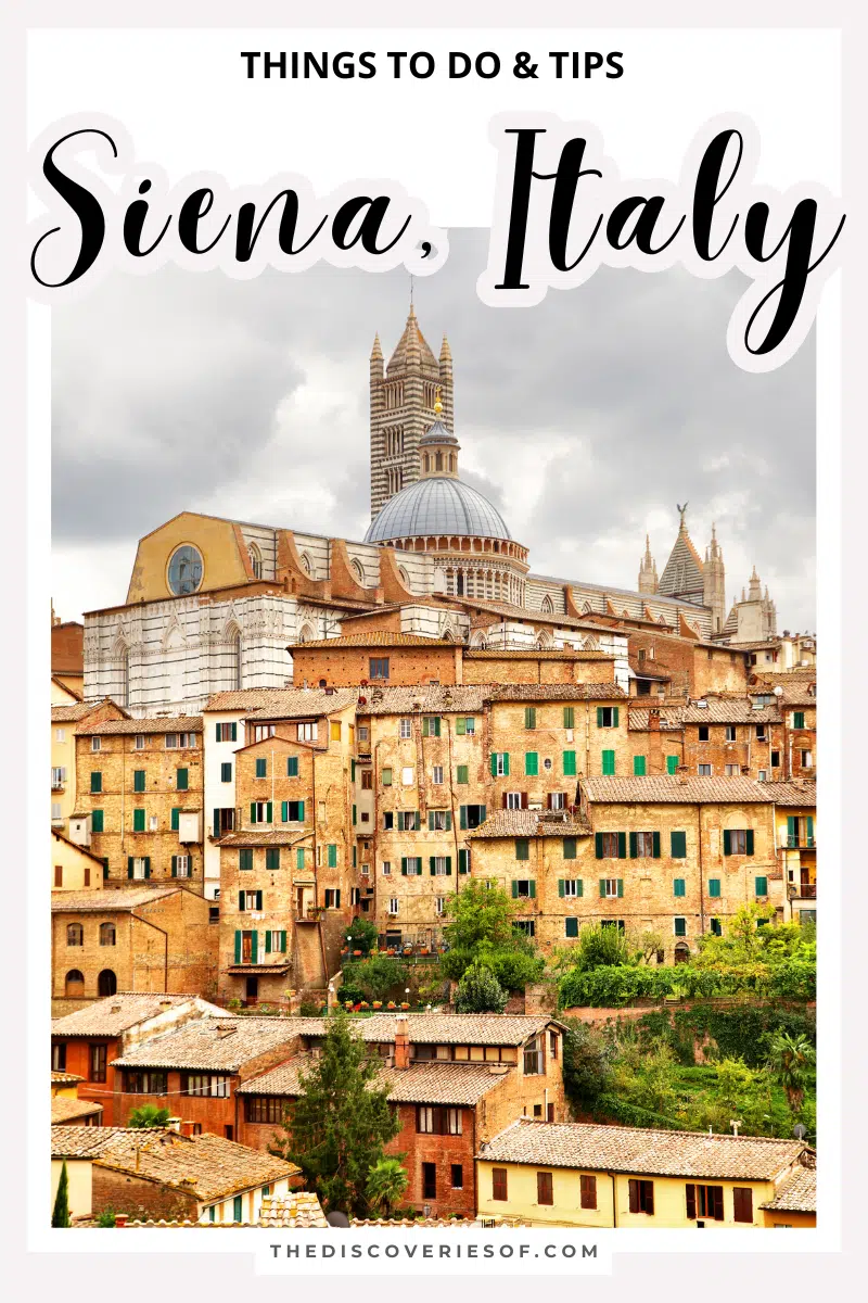 Siena Travel Guide