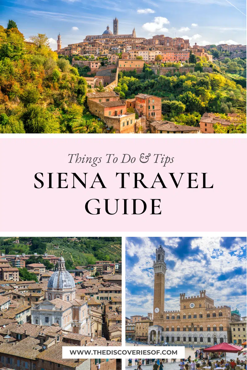 Siena Travel Guide