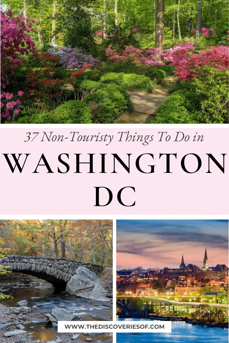 37 Non-Touristy Things To Do in Washington DC Besides Museums and Monuments