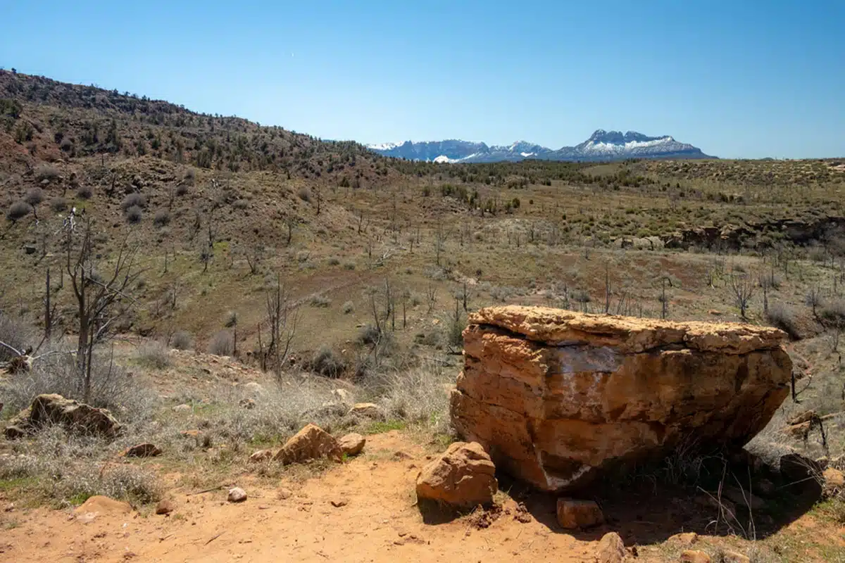 Chinle Trail in Zion