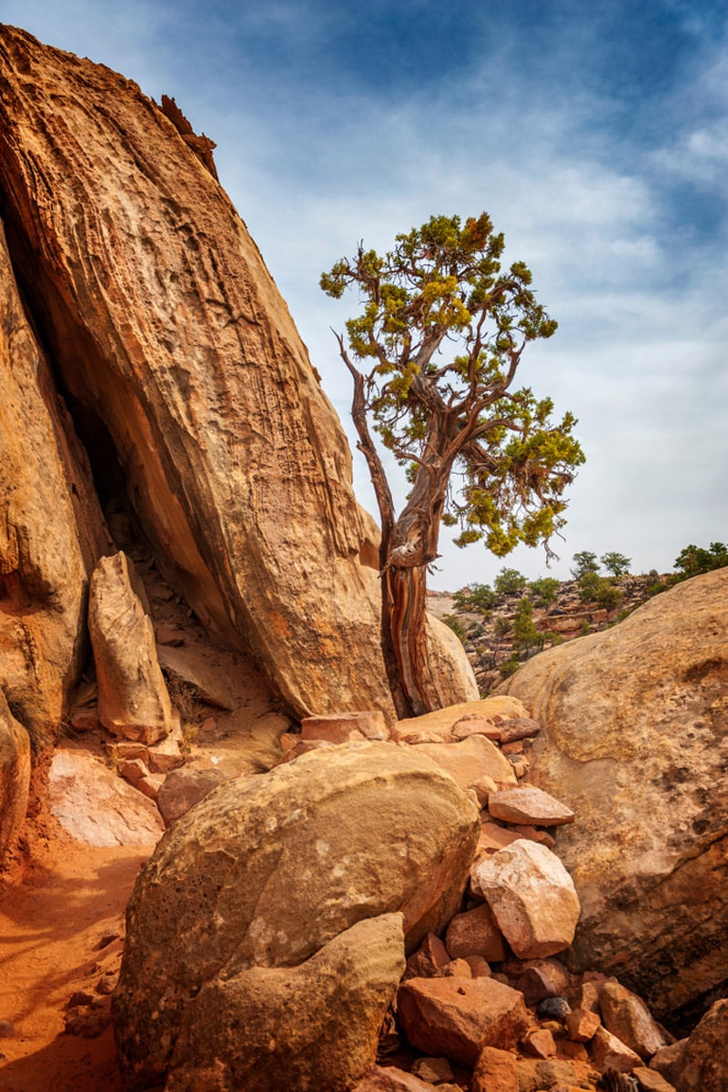 Cohab Canyon