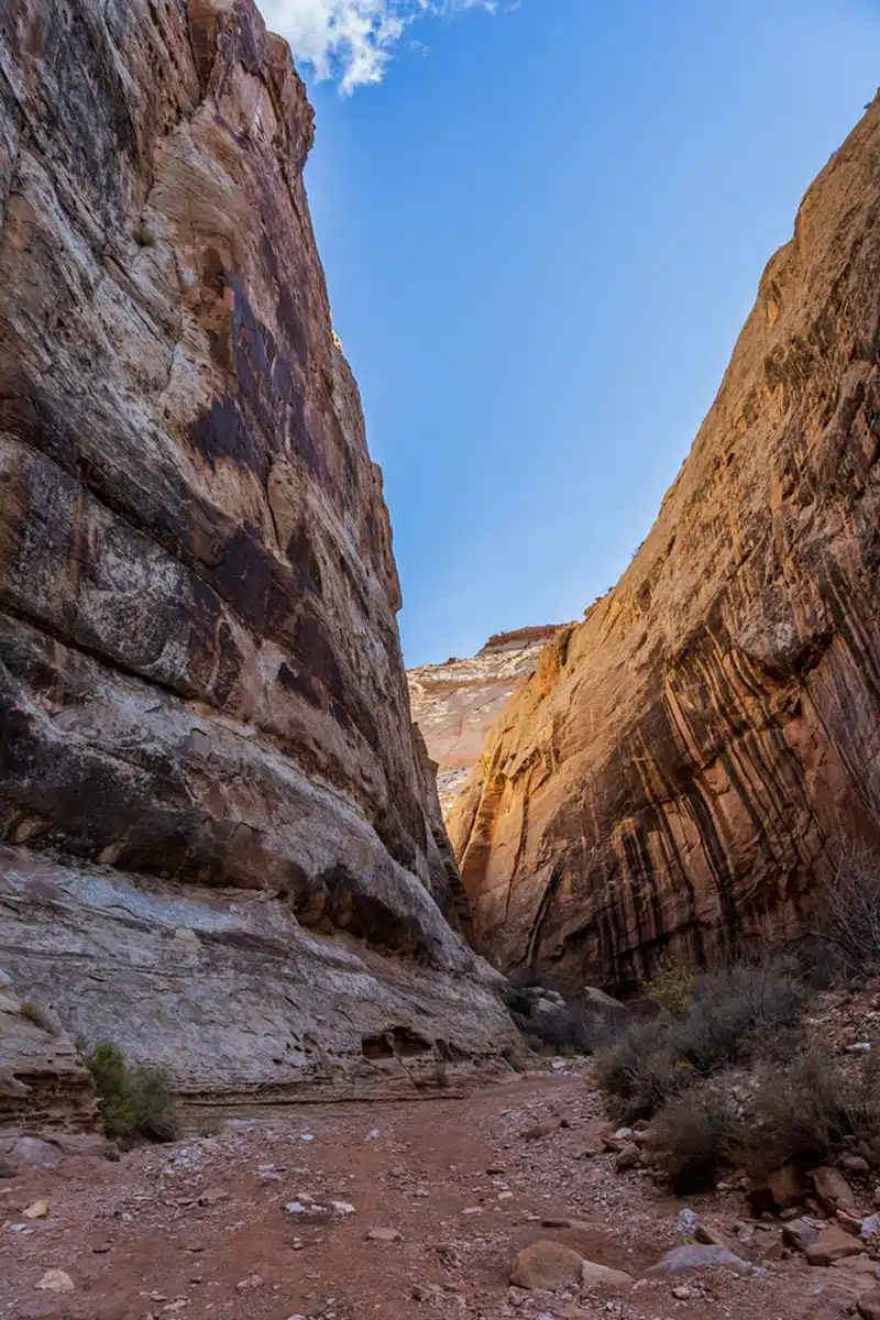 Grand Wash Trail