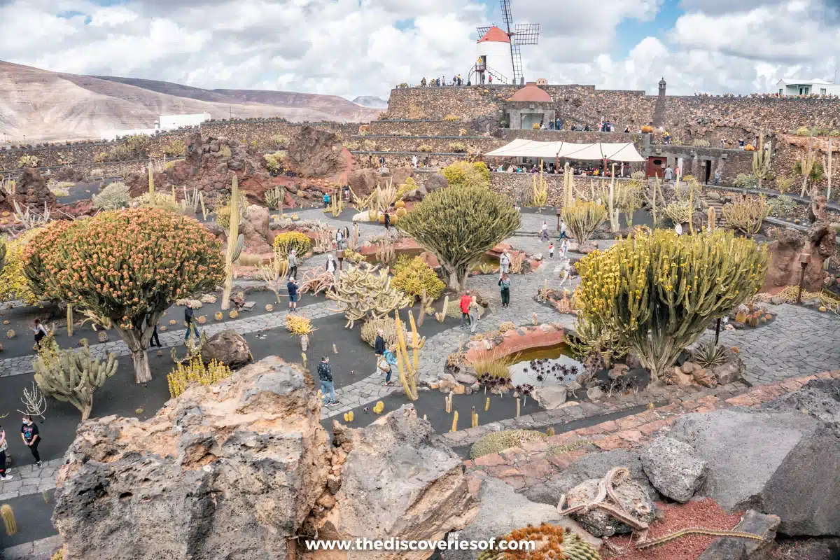 Jardin de Cactus Lanzarote-7