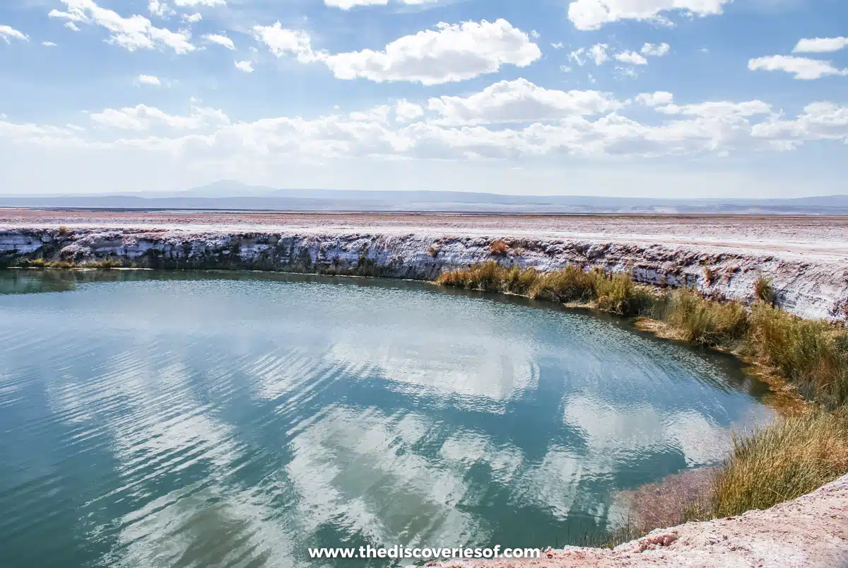  Ojos de Salar Atacama Chile