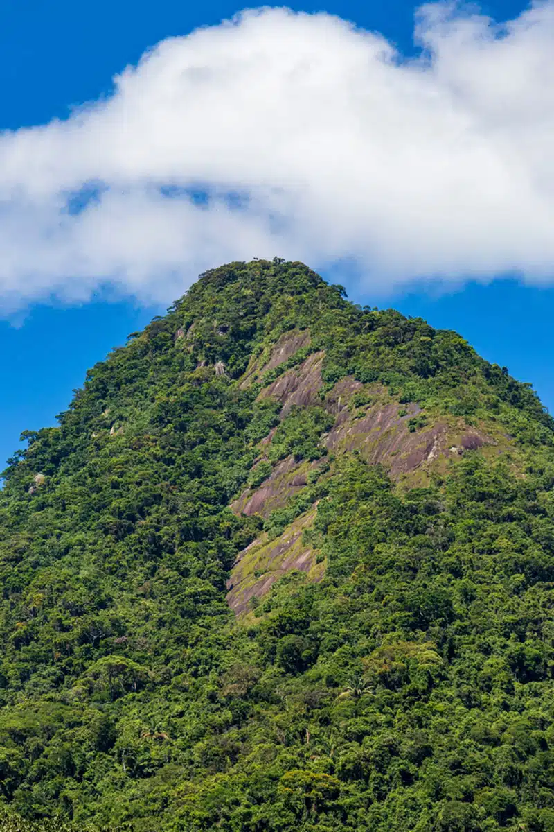 Pico de Papagaio