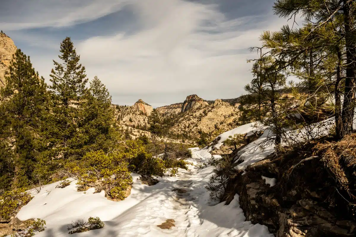 Zion Winter 