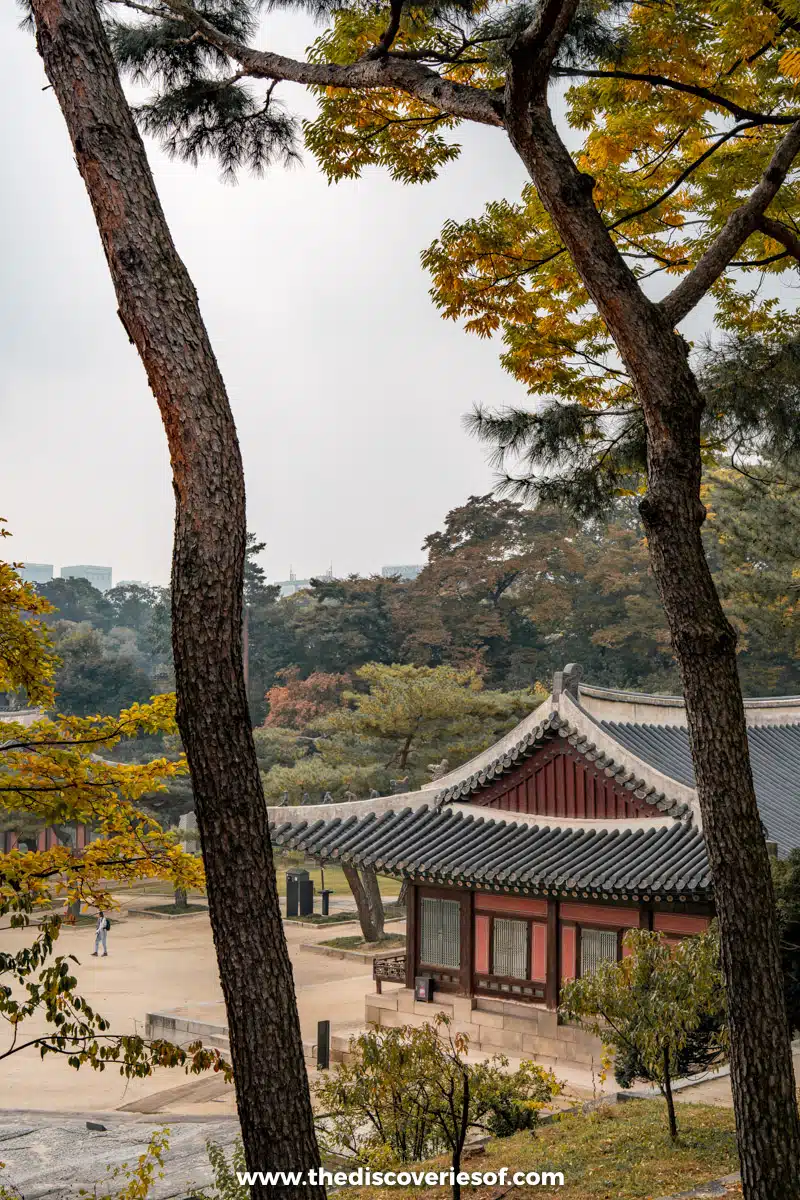 A palace pavilion with a tiled roof glimpsed between pine trees in autumn in Seoul