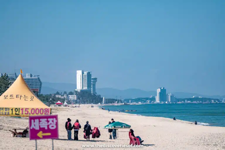 A Complete Guide to Gangneung, South Korea