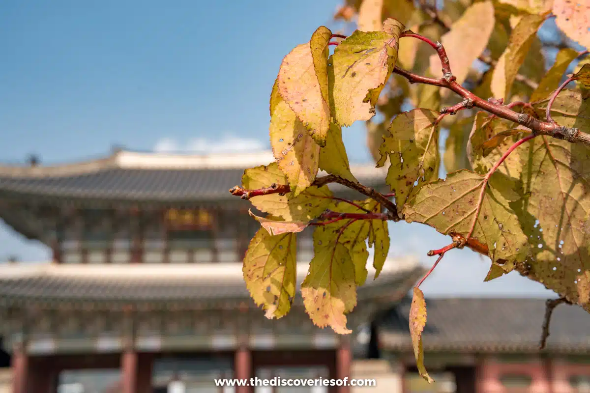 Gyeongbokgung Palace Seoul South Korea-2