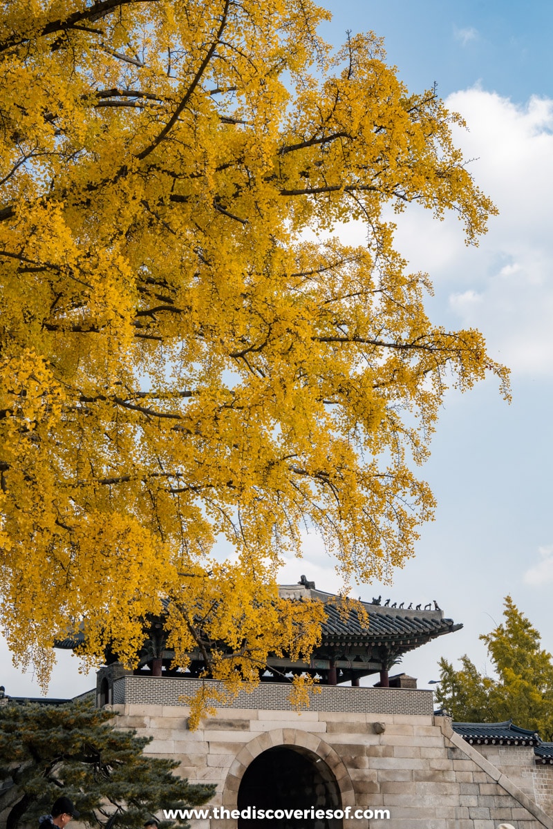 Gyeongbokgung Palace Seoul South Korea