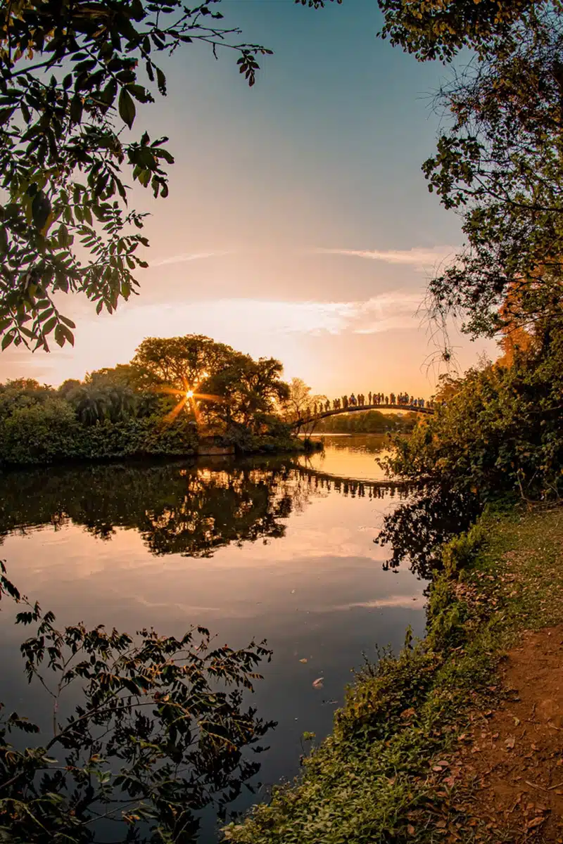 Ibirapuera Park 